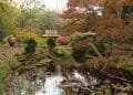 Walking through Japanese Garden Clingendael