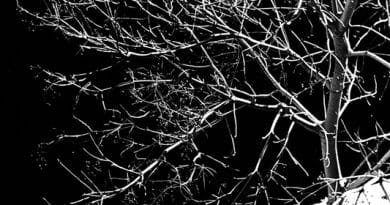 Laying Stones 023 (2014) - Munemasa Takahashi