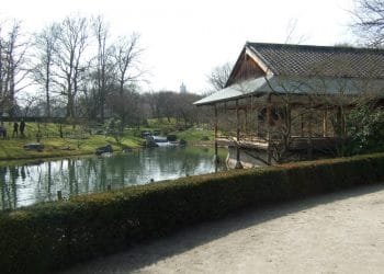 Kersenbloesemfeest in Japanse Tuin Hassel (25 maart 2018)