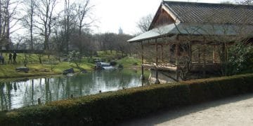 Kersenbloesemfeest in Japanse Tuin Hassel (25 maart 2018)