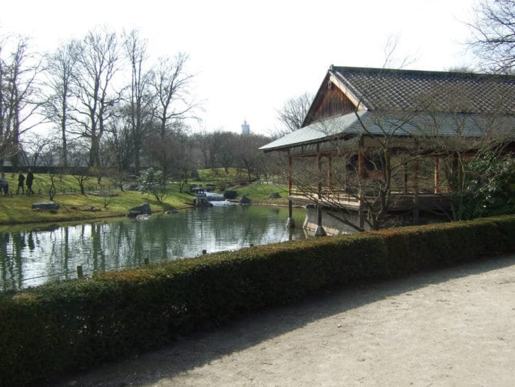 Kersenbloesemfeest in Japanse Tuin Hassel (25 maart 2018)
