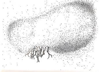 GAKA © Tomoko Mukaiyama