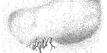 GAKA © Tomoko Mukaiyama