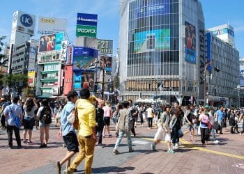 Helena Smit/IndoRotterdammert, 2015