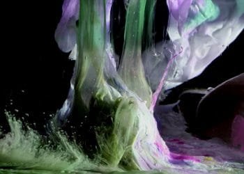 MV Review: Kikagaku Moyo – Trilobites