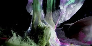 MV Review: Kikagaku Moyo – Trilobites