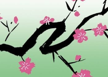 String Orchestra Nanagen to The Netherlands for Siebold Project Orchestra 2019