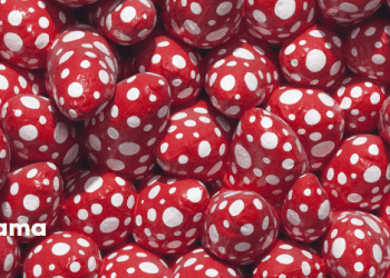 Detail: Dots, 1999 @ Yayoi Kusama at Museum Voorlinden