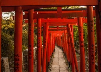 Nezu Shrine (Nezu Jinja) | Photography Francisca Hagen (November 2018)