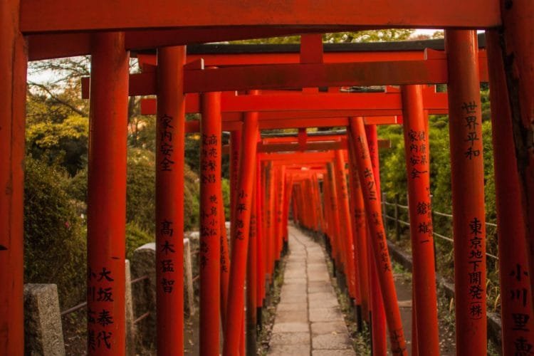 Nezu Shrine (Nezu Jinja) | Photography Francisca Hagen (November 2018)