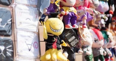 De Dordtse Matsuri 2019 | Photography by Francisca Hagen