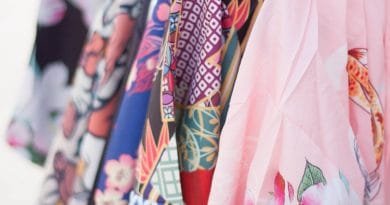 De Dordtse Matsuri 2019 | Photography by Francisca Hagen