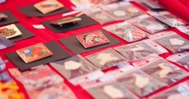 De Dordtse Matsuri 2019 | Photography by Francisca Hagen