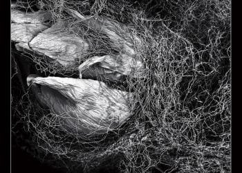 Detail cover Absence of Objective World