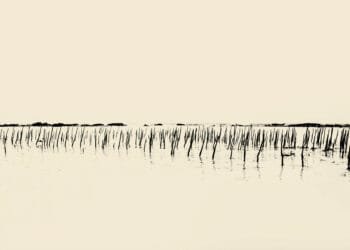 Paul Cupido, Several Seconds Crying Moon 2017. © Paul Cupido. Courtesy IBASHO Gallery, Antwerp