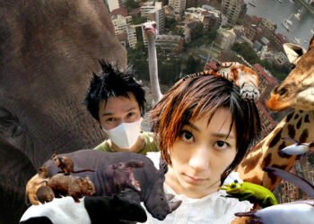 MELT-BANANA © A-ZAP Records