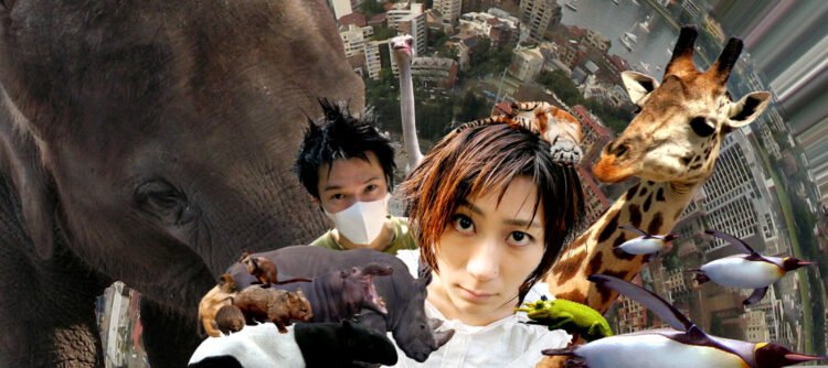 MELT-BANANA © A-ZAP Records