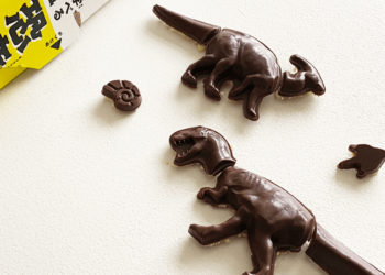 Product Review: Kracie – Dinosaurs DIY Chocolate