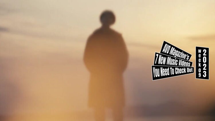 Still from the dim Island's music video for the song "Aiden", where the vocalist - dressed in dark clothing - is standing on a beach where there is a campfire and the sun is setting. The fire is placed between the vocalist and the camera, which makes the image blurry because of the flames.