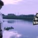 Still from MIKENN's music video for the song "瞬き (Blink)". A man with dark pants and a white shirt stands near a river with a small bouquet with the idea to throw it into the water.