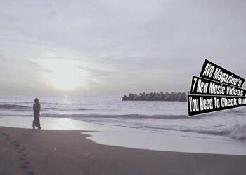 Still from the music video "春夏 (Haru/Natsu)" by ©︎Dolls. One of the band members of ©︎Dolls walks on the beach while the sun is hanging low. The musician wears a dress and holds and plant in a pot.