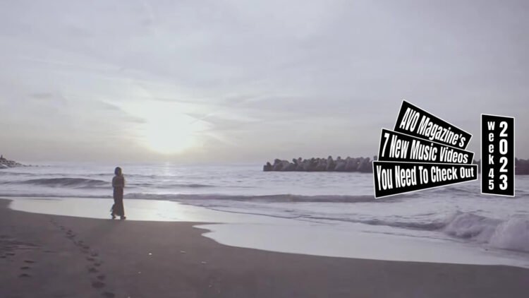 Still from the music video "春夏 (Haru/Natsu)" by ©︎Dolls. One of the band members of ©︎Dolls walks on the beach while the sun is hanging low. The musician wears a dress and holds and plant in a pot.