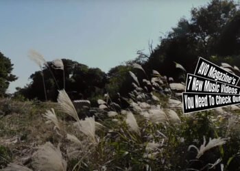 Still from Hana Iida's music video for the song "ハタチ (Hatachi)". The still depicts a serene field with fluffy pampas grass swaying in the wind and trees visible in the background.The sky is clear and blue.