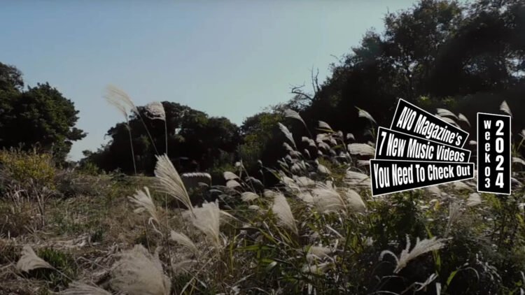 Still from Hana Iida's music video for the song "ハタチ (Hatachi)". The still depicts a serene field with fluffy pampas grass swaying in the wind and trees visible in the background.The sky is clear and blue.