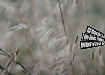 Still from 短編画廊 (Tanpen Garo)'s music video for "イロナキカゼ (Ironakikaze)". The stills depicts a natural scene featuring a field of grass and/or vegetation making the scene abstract and dreamy.