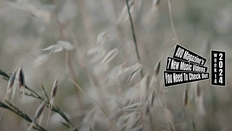 Still from 短編画廊 (Tanpen Garo)'s music video for "イロナキカゼ (Ironakikaze)". The stills depicts a natural scene featuring a field of grass and/or vegetation making the scene abstract and dreamy.