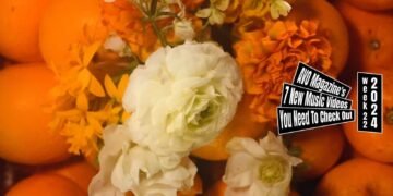 Still from Natsudaidai's music video for the song "青果店 (Seika-ten, Fruit Store)" which is directed by yama. The still showcases an artistic and vibrant arrangement of several oranges (most probably the Natsudaidai) with a bouquet of white and orange flowers placed on top. The music video is directed by yama, with director of photography Sota Ouchi, assistant director lilgonzaemom, and art director sHu.