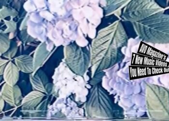 Still from the music video "さよなら、郷愁 (Sayonara, Kyoushuu)" by the alternative rock band Harmless. The still depicts a blooming hydrangea bush, showcasing vibrant purple flowers and the green leaves. These hydrangeas are the main focus of the scene and gives the idea that it was filmed with a camera with tape or a filter is used to give this idea. Interesting note: the original music video is posted in 360p.