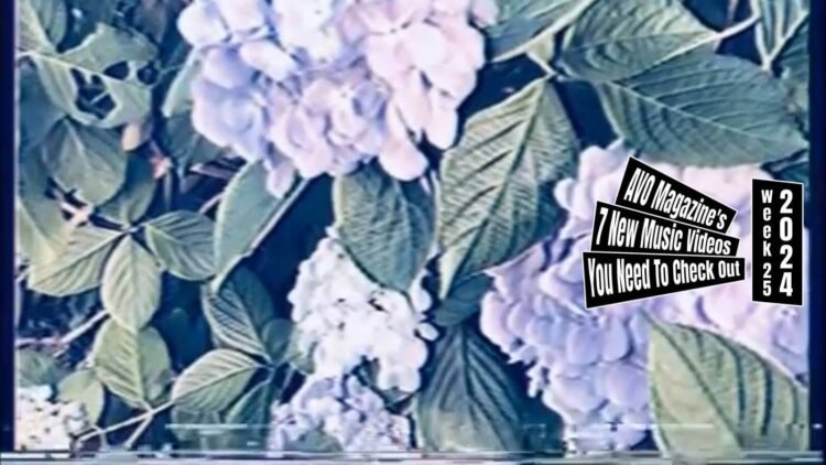 Still from the music video "さよなら、郷愁 (Sayonara, Kyoushuu)" by the alternative rock band Harmless. The still depicts a blooming hydrangea bush, showcasing vibrant purple flowers and the green leaves. These hydrangeas are the main focus of the scene and gives the idea that it was filmed with a camera with tape or a filter is used to give this idea. Interesting note: the original music video is posted in 360p.