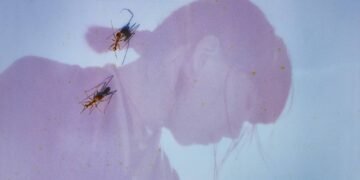 A portrait of Ichiko Aoba taken by Kodai Kobayashi. The atmosphere of the photo is dreamy thanks to the filter that gives soft hues. Combined with this photo is a shot of two ants walking in the sun.