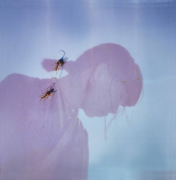 A portrait of Ichiko Aoba taken by Kodai Kobayashi. The atmosphere of the photo is dreamy thanks to the filter that gives soft hues. Combined with this photo is a shot of two ants walking in the sun.