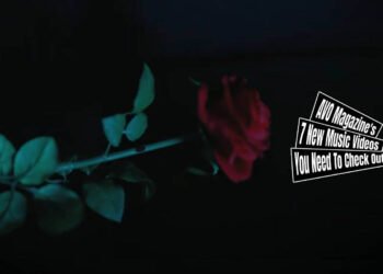Still from akari's music video for "Poor Vampire", which is directed by Oyama. The camera focuses on a red rose on a dark background.