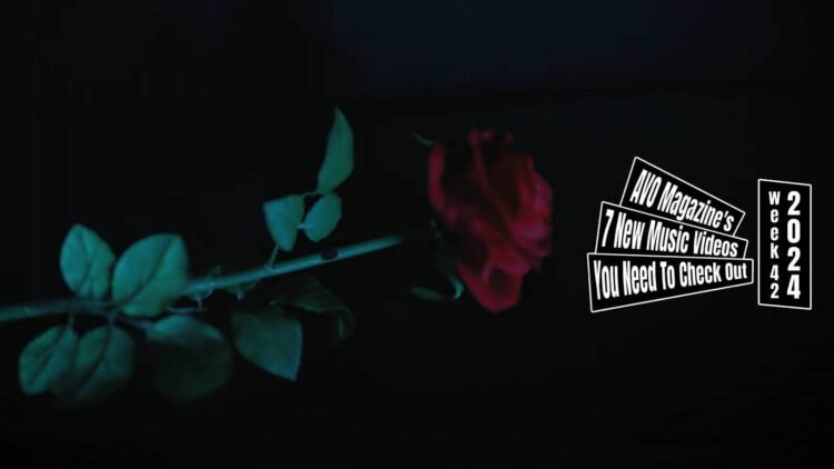 Still from akari's music video for "Poor Vampire", which is directed by Oyama. The camera focuses on a red rose on a dark background.