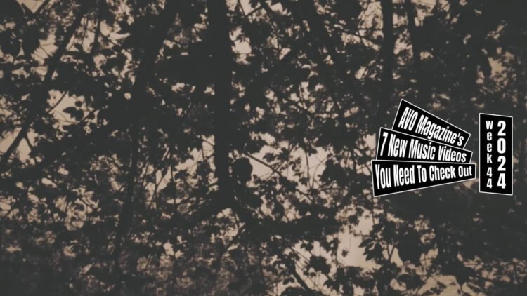 Still from the music video "焦燥 (Shousou)" by 青い薔薇 (Aoibara). The camera focusses on tree branches that are filled with leaves. It seemed to be filmed or edited in a sepia-tone effect.